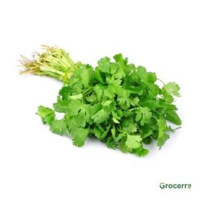 Coriander 1Bunch