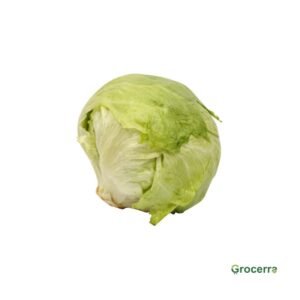 Lettuce Iceberg 1Piece