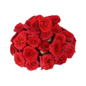 Rose Button (250g)
