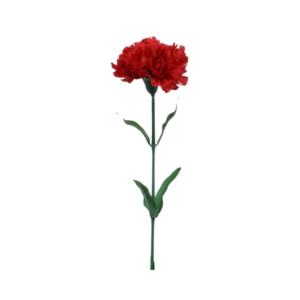 Carnation Red Single (1pc)