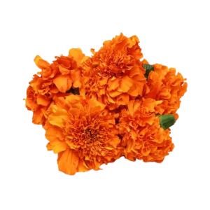Orange Marigold (250g)