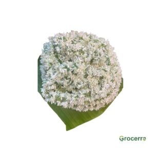White Allium Flower (1 Metre)