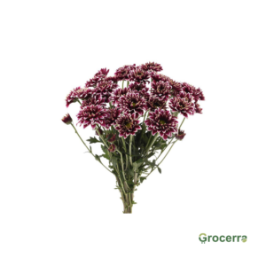 Amethyst Dark Chrysanthemums Flower 1 Bundle