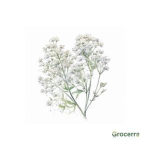 Gypsophila (Baby’s Breath) 1 piece