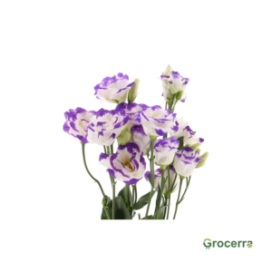 Eustomia Purple & White shade Bunch (15 Pieces)