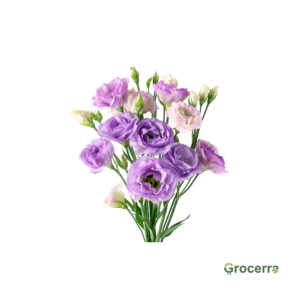 Eustomia Purple Bunch (15 Pieces)