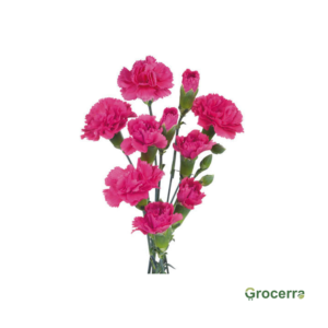 Spray Carnation Dark Pink (1 Bundle)