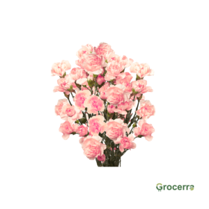 Spray Carnation Light Pink (1 Bundle)