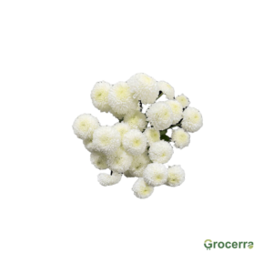 White Button Spray Chrysanthemums (1Bundle)